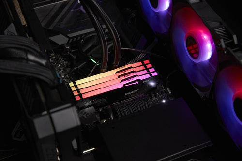 Kingston RAM FURY Beast RGB - 8 GB - DDR5 5600 DIMM CL36