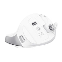 Trust Bayo+ Maus Büro rechts RF Wireless + Bluetooth Optisch 2400 DPI