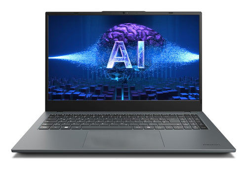 MEDION E15443 Intel Core Ultra 5 125H Laptop 39,6 cm (15.6") Full HD 16 GB DDR5-SDRAM 512 GB SSD Windows 11 Home Grau