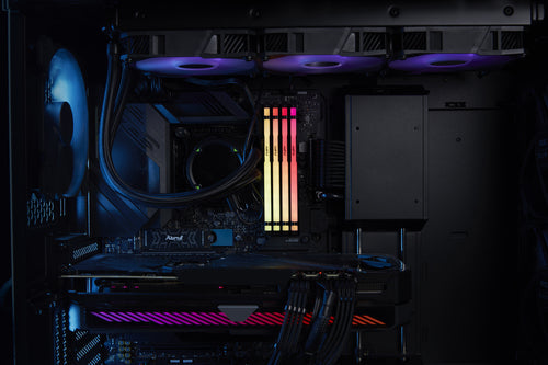 Kingston RAM FURY Beast RGB - 8 GB - DDR5 5600 DIMM CL36