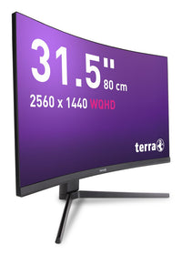 TERRA LCD/LED 3285W HA black CURVED USB-C/HDMI/DP
