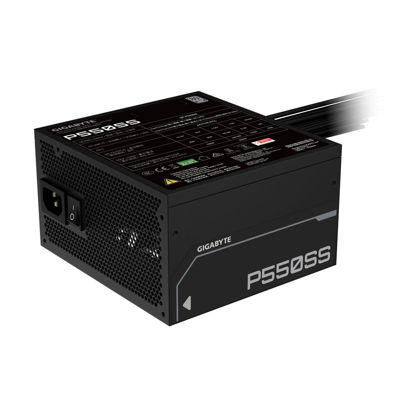 GIGABYTE P550SS Netzteil 550 W 20+4 pin ATX ATX Schwarz
