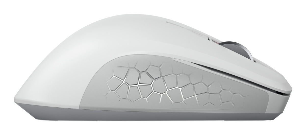 CHERRY JW-8550-0 Maus Universal rechts RF Wireless Optisch 4000 DPI