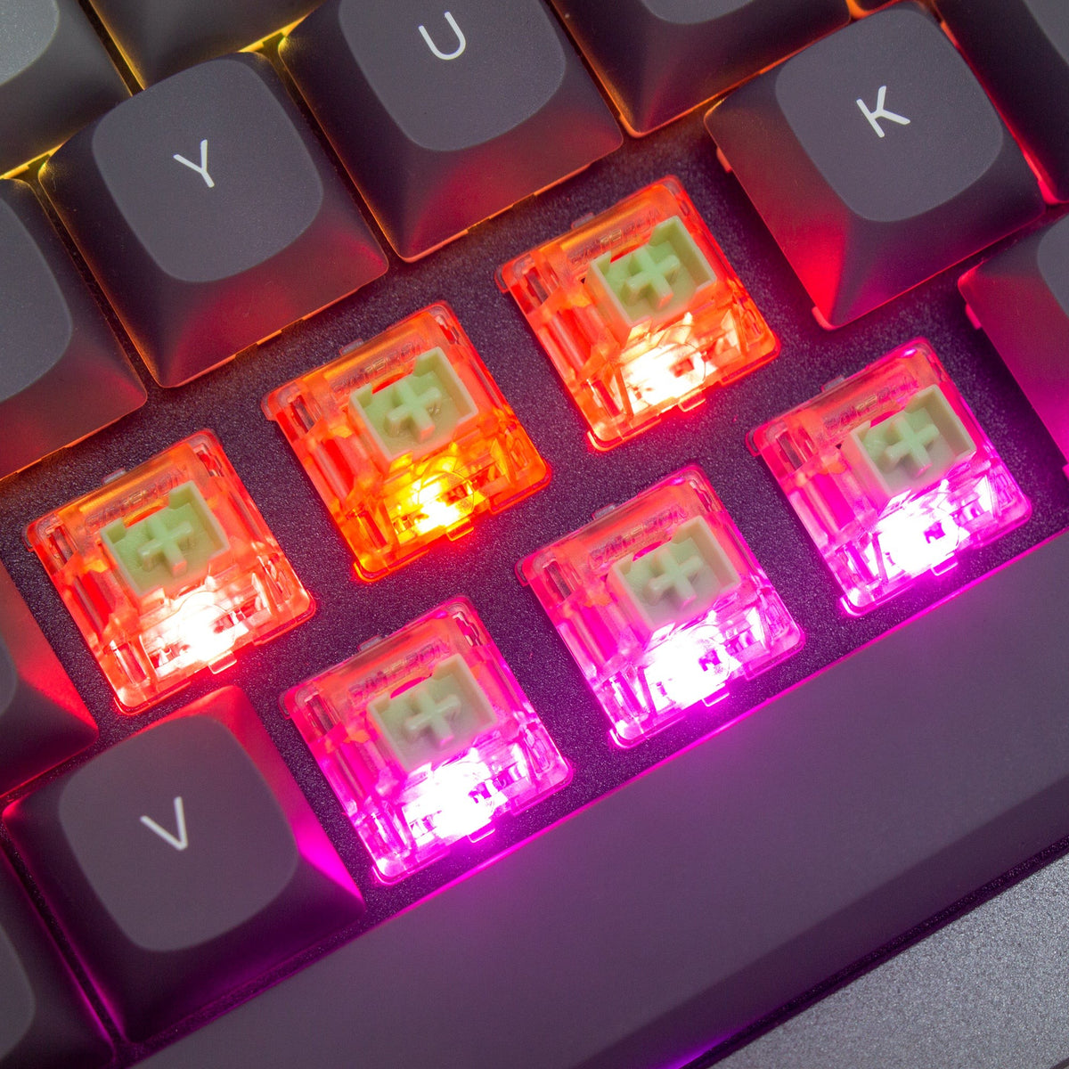 Gateron Kangaroo Box Ink Switch (110 pièces)
