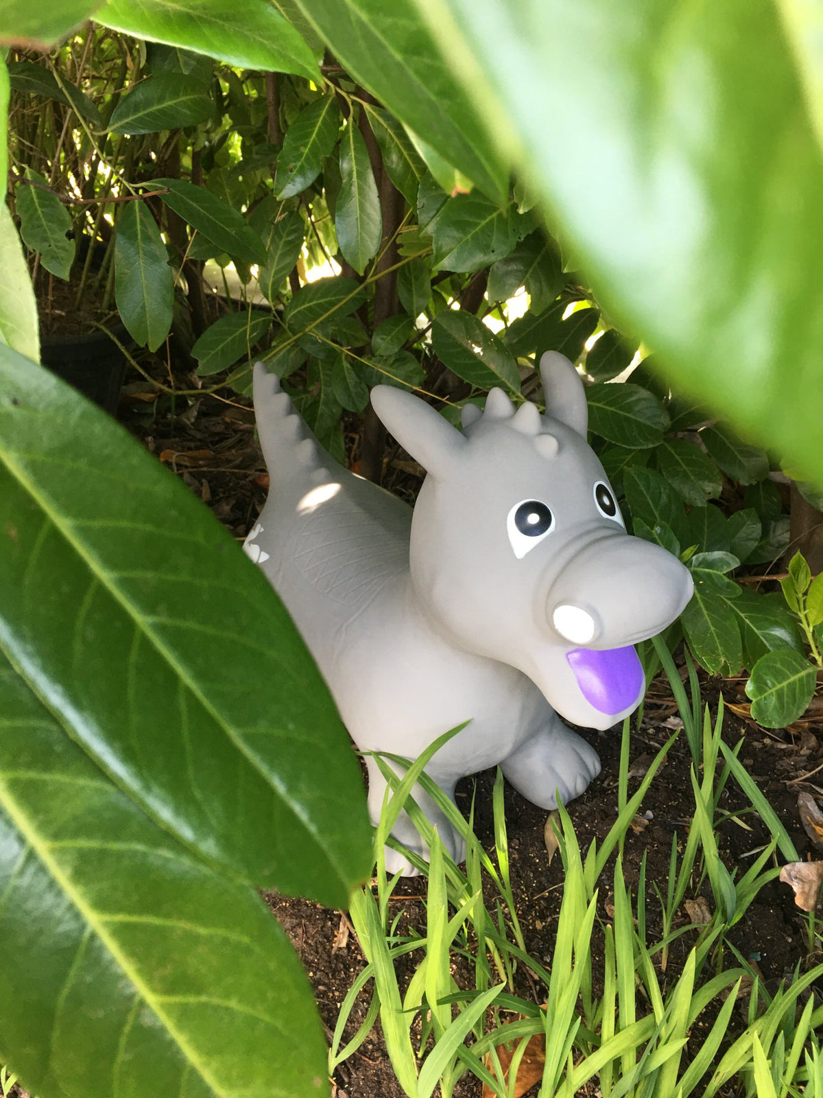 Grey Dino
