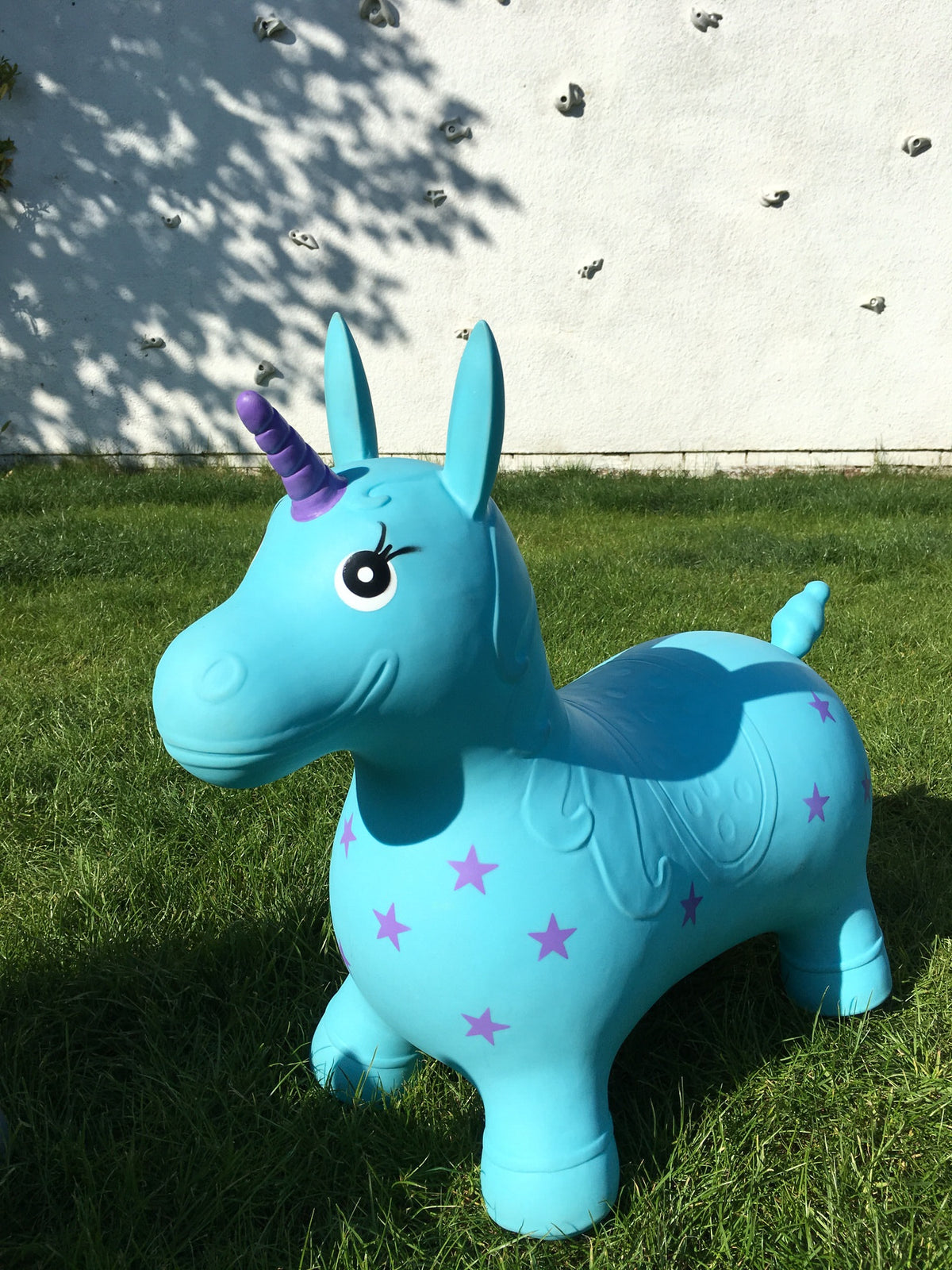 Turquoise Unicorn