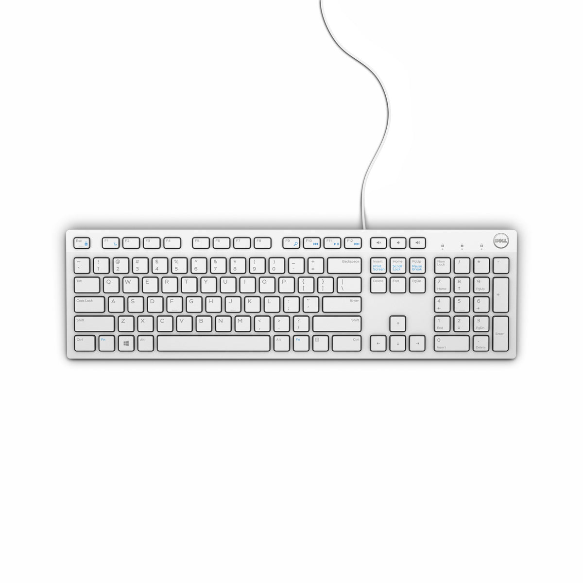 DELL kabelgebundene Tastatur – KB216 - französisch (AZERTY) - weiß