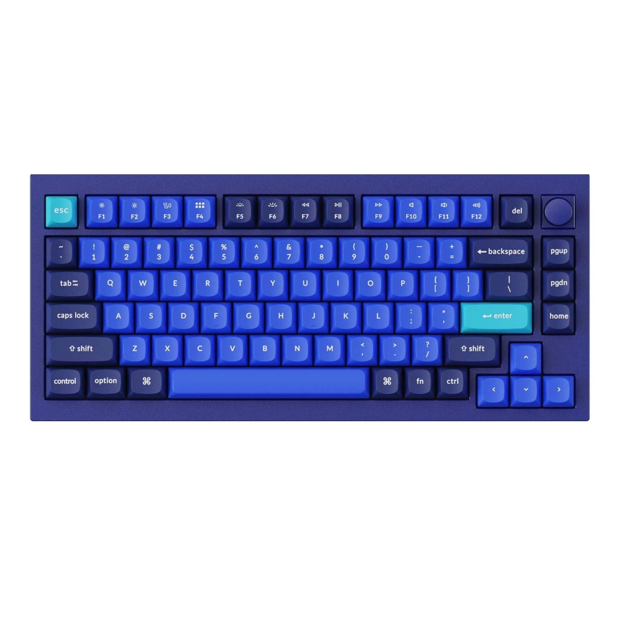 Q1 Knob Version v2