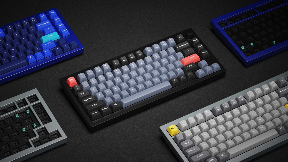 Q1 Knob Version v2