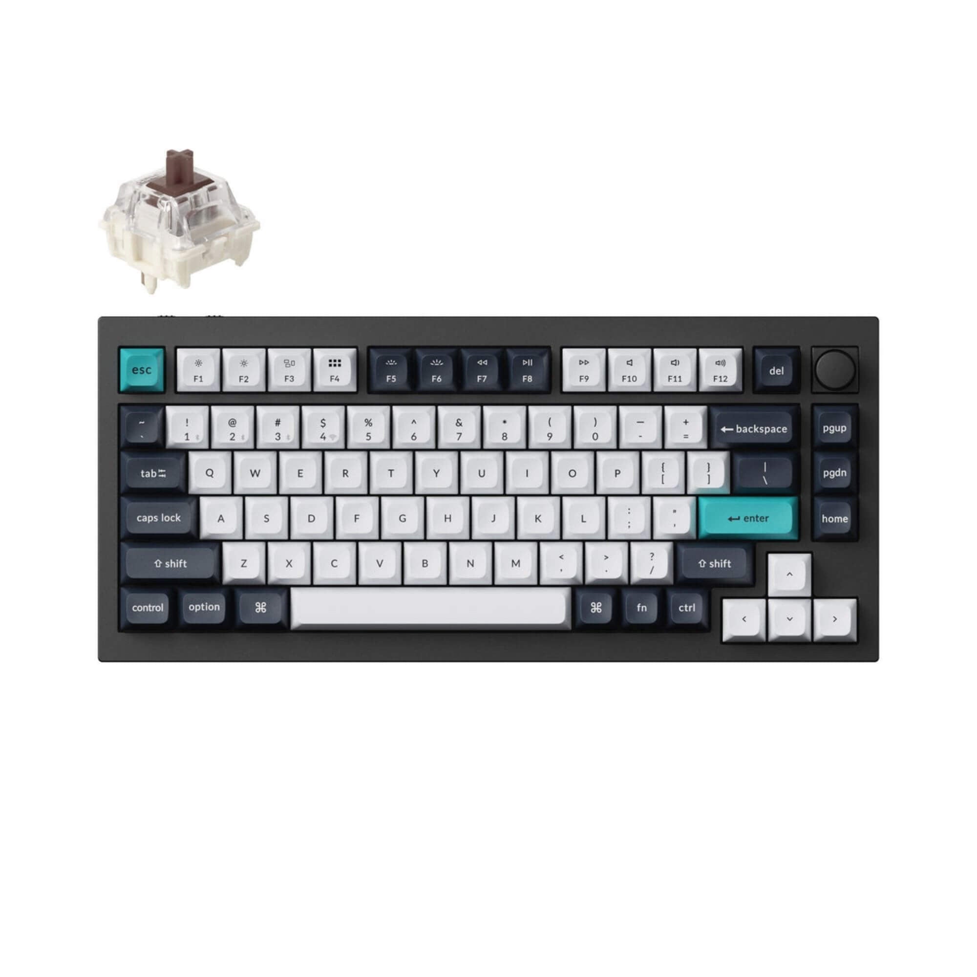 Q1 Max