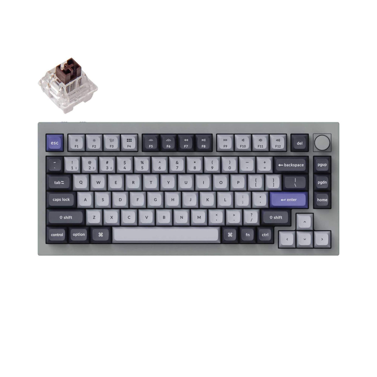 Q1 Pro