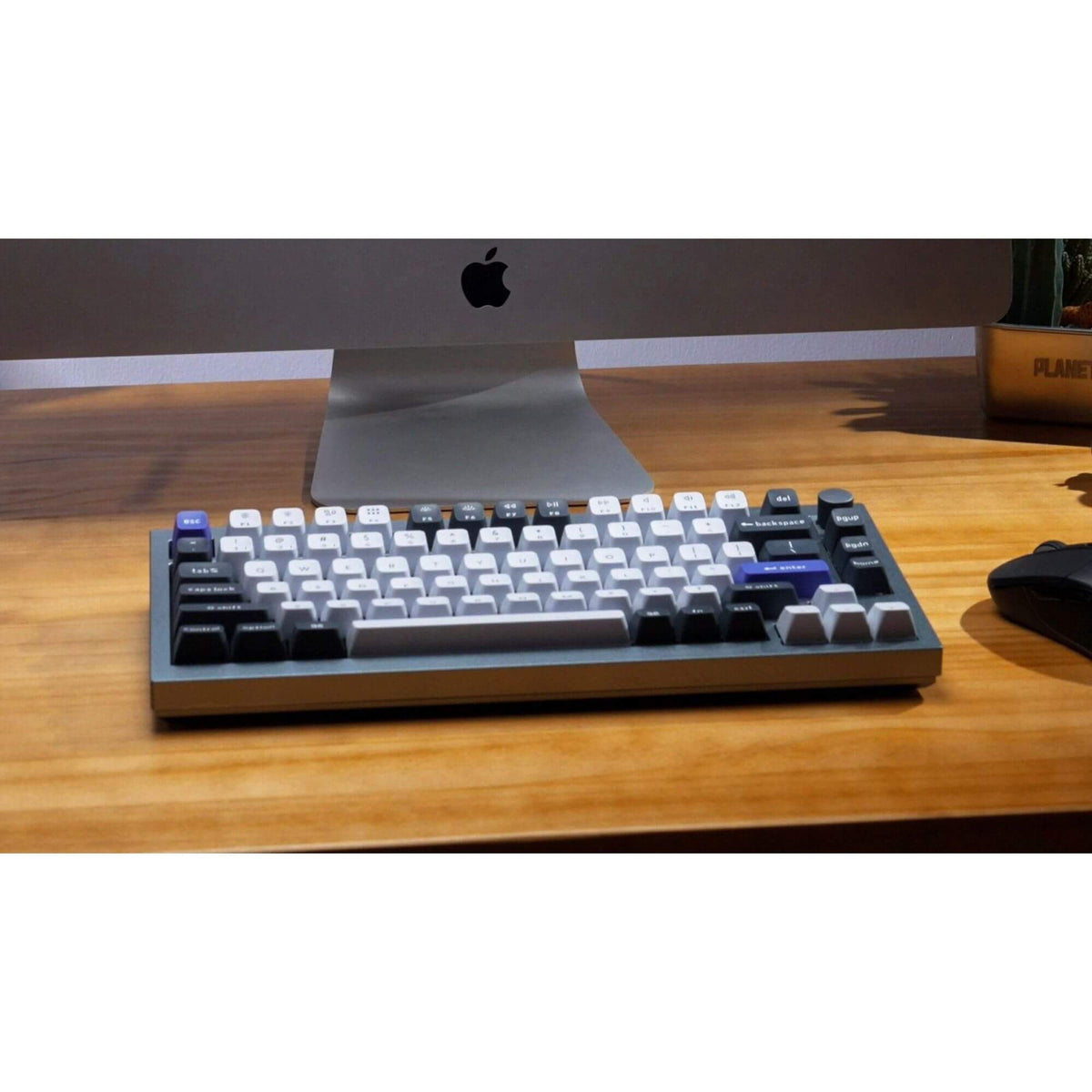 Q1 Pro