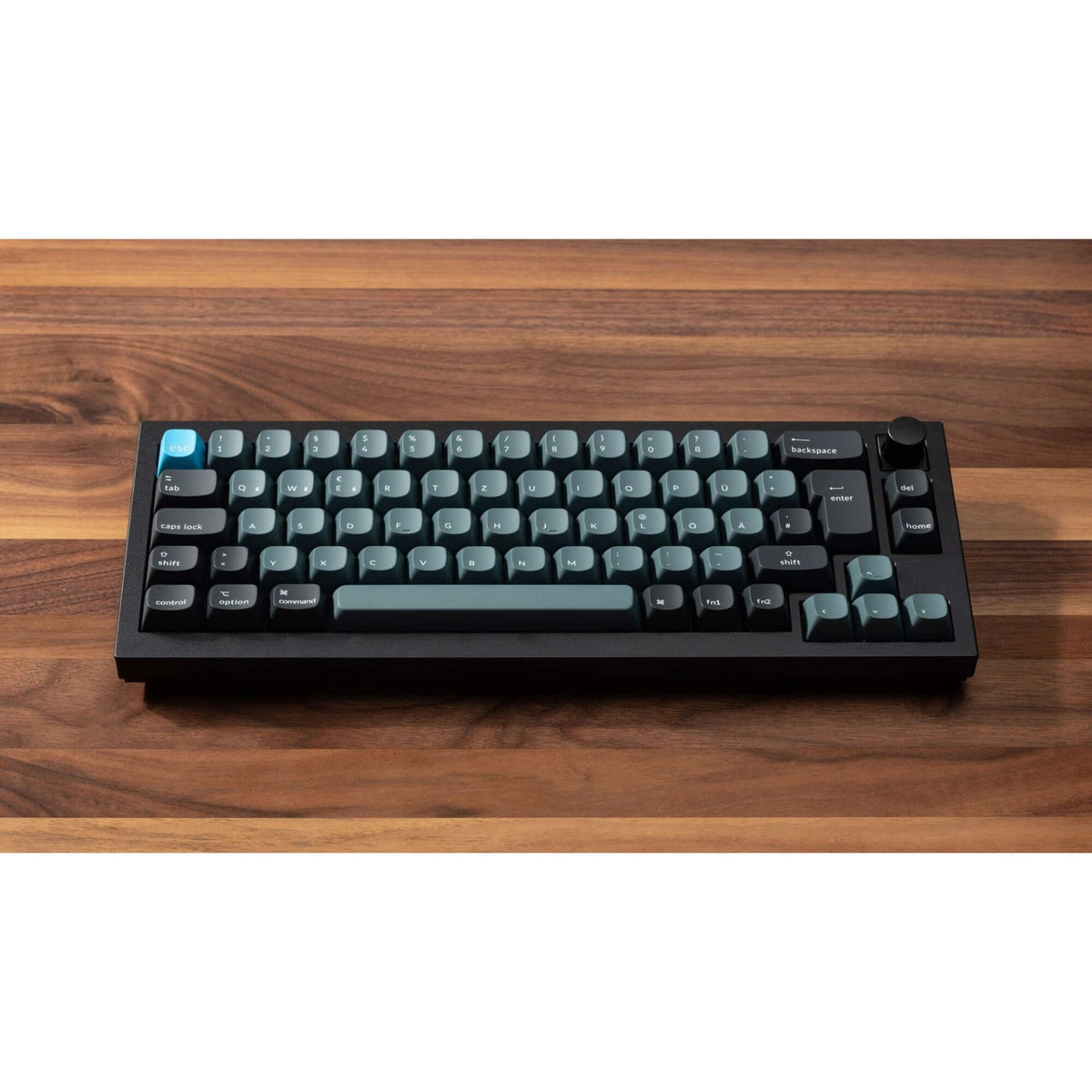 Q2 Pro