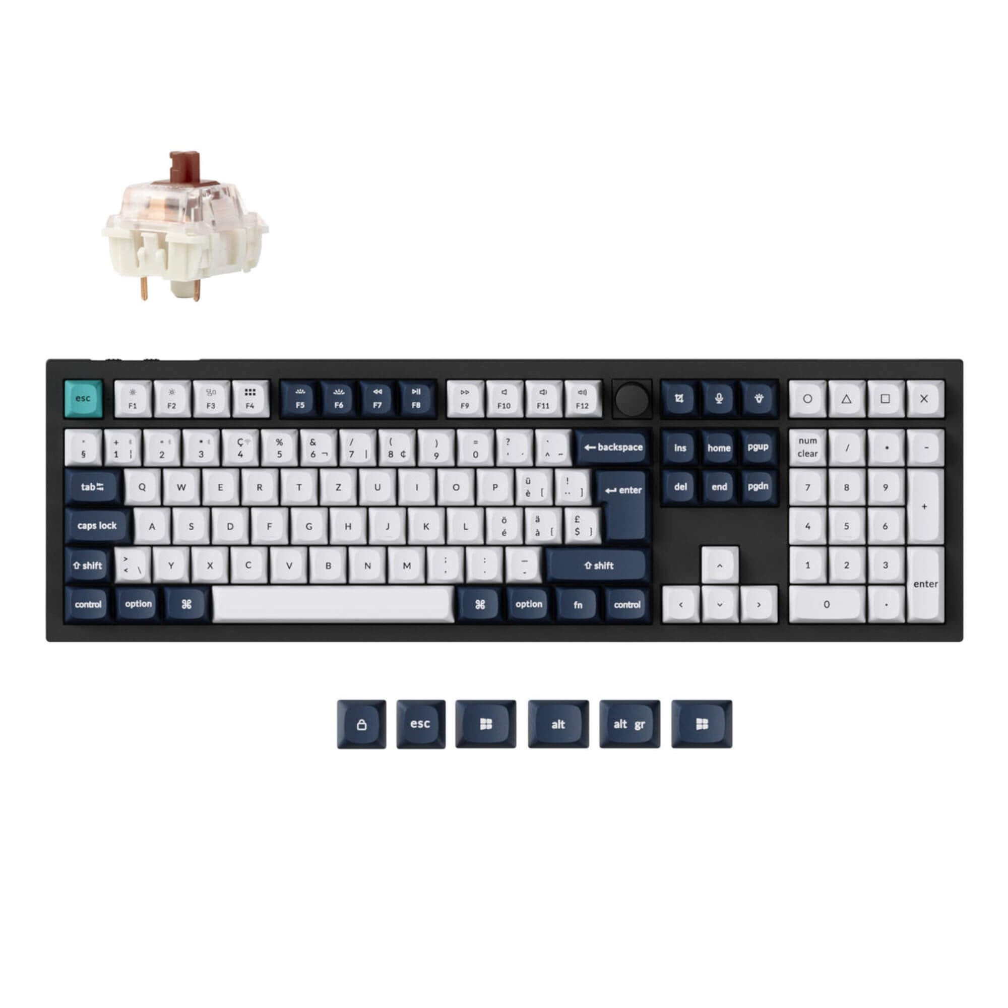 Q6 Max