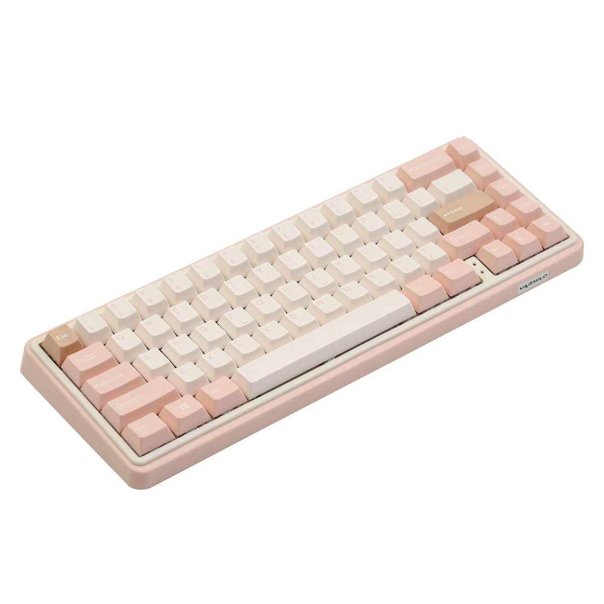 Minilo VXT67 Mendozae