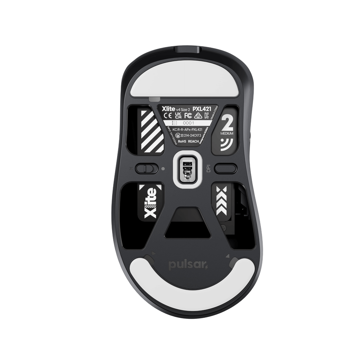 Xlite V4 - Medium Size 2