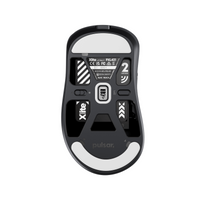 Xlite V4 - Medium Size 2
