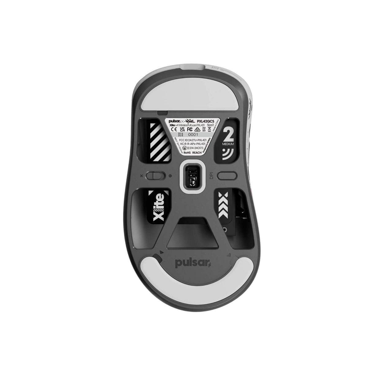 Xlite V4 - Medium Size 2