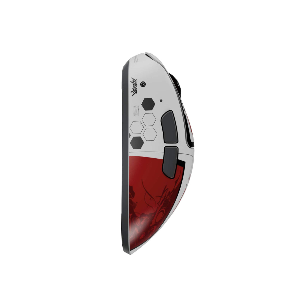 Xlite V4 - Medium Size 2