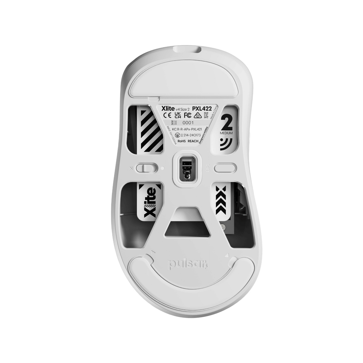 Xlite V4 - Medium Size 2
