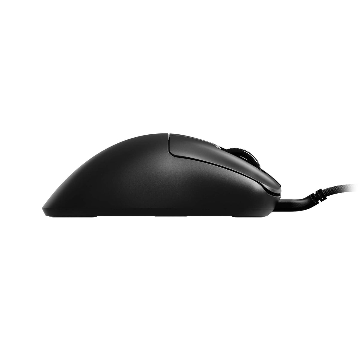 Xlite Wired - Medium Size 2